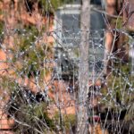 Biden Administration Cuts Border Wire, Illegal Chaos!