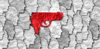 Game-Changing Court Decision on Maryland's Handgun Laws