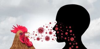 Unexplained Human Bird Flu Case Shocks CDC Experts