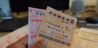 Unexpected Fortune: Carpenter's Lucky Find Leads to Million-Dollar Win