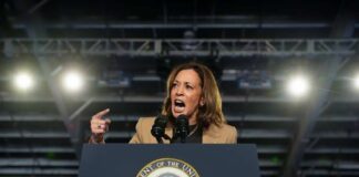 Kamala Harris Critiqued on Immigration and Leadership in Fox News Interview