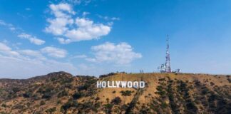 Celebrities' Diverse Responses to Trump's 2024 Win: A Political Divide?