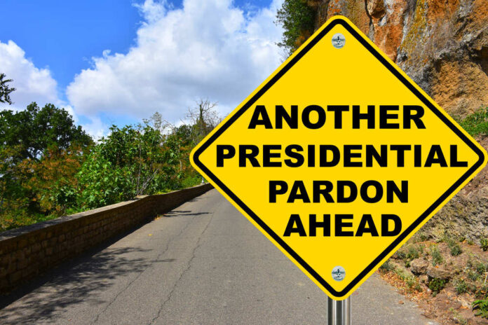 Exploring the Dynamics Between Impeachment and Presidential Pardons in Governance