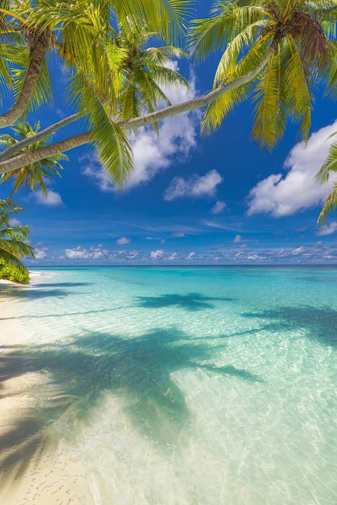 2473212869 featured image China's Surprising Moves in the Bahamas: What It Means for the U.S.