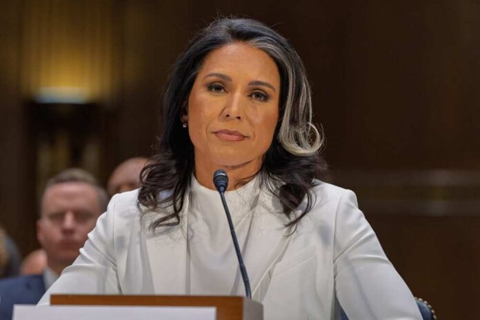 2597185423 featured image Tulsi Gabbard Reacts to James Comey's Instagram Post Stirring Debate
