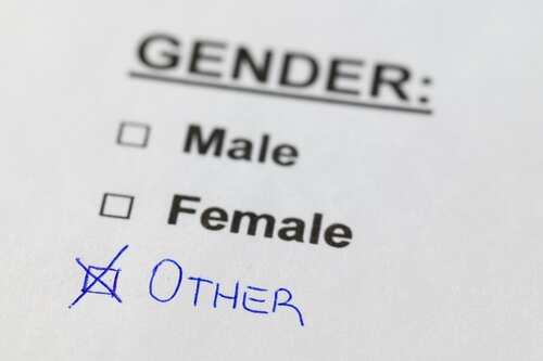 Survey form indicating gender options with 'Other' selected