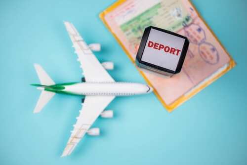 A model airplane next to a passport and a stamp that reads 'DEPORT'