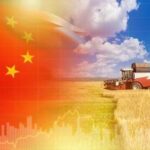 A combine harvester in a wheat field with the Chinese flag in the background