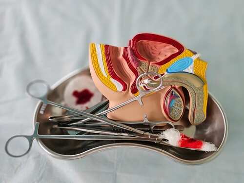 A detailed anatomical model of the human anatomy with surgical tools on a tray