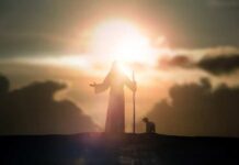 Silhouette of a figure with a staff and a dog against a sunset