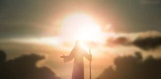 Silhouette of a figure with a staff and a dog against a sunset