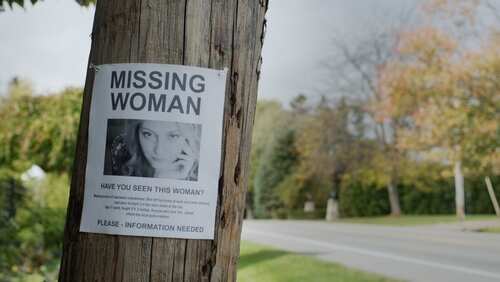 Missing person poster on a telephone pole with a woman's photo