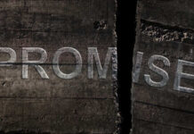 Close-up of a cracked wooden surface with the word 'PROMISE' visible