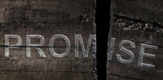 Close-up of a cracked wooden surface with the word 'PROMISE' visible