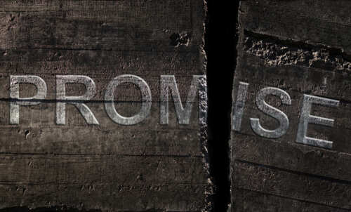 Close-up of a cracked wooden surface with the word 'PROMISE' visible