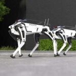 Two robotic police dogs standing on a pavement