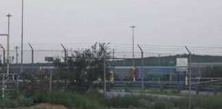 6 Dead in Union Pacific Boxcar - Mother's Day Tragedy at Jim Young Way Railyard