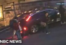 Cornell University president accused of backing into student in parking lot confrontation